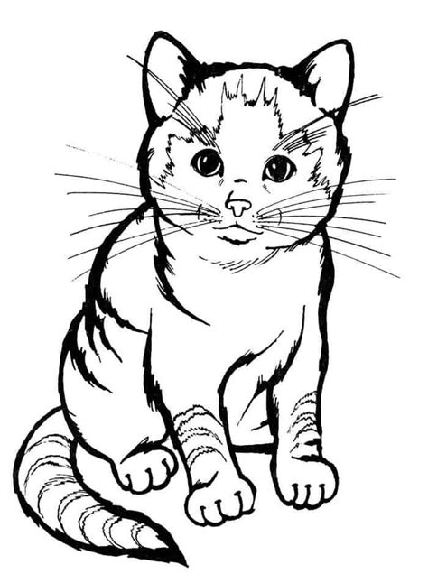 Our coloring pages require the free adobe acrobat reader. Realistic Cat Coloring Pages Printables | Cat colors ...