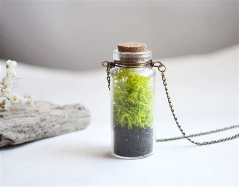Moss Necklace Large Moss Necklace Nature Lover Vial Necklace Glass