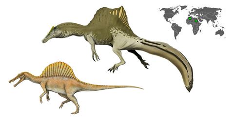 Spinosaurus Aegyptiacus Dinosaurioswiki