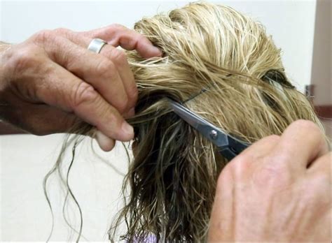 Because hair grows about 1.5 inches (3.8 cm) in 90 days, hairs with a length of about 1.5 inches (3.8 cm) are targeted for cutting. Hair Follicle Drug Test? Read To Know How To Pass It ...