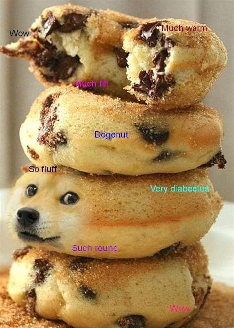 Much Doge Doge Funny Pictures Food
