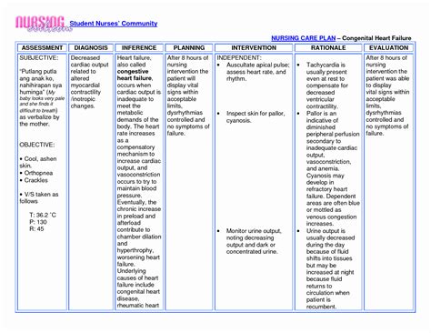 Nursing Care Plan Example Document Template