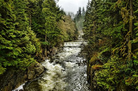 River Trees Forest North Vancouver British Columbia Canada North