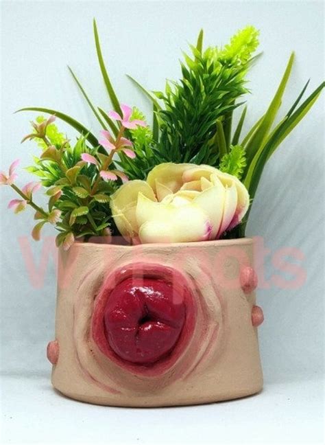 anal prolapse pot custom cute quirky small plant pot weird etsy uk
