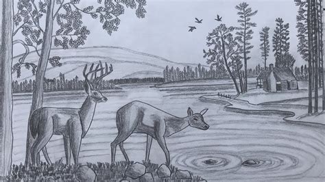 How To Draw Forest Scene Step By Step With Pencil Riverfront
