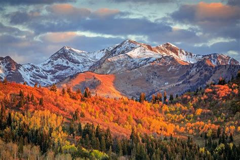 Capitol Peak With Fall Colors By Piriya Photography