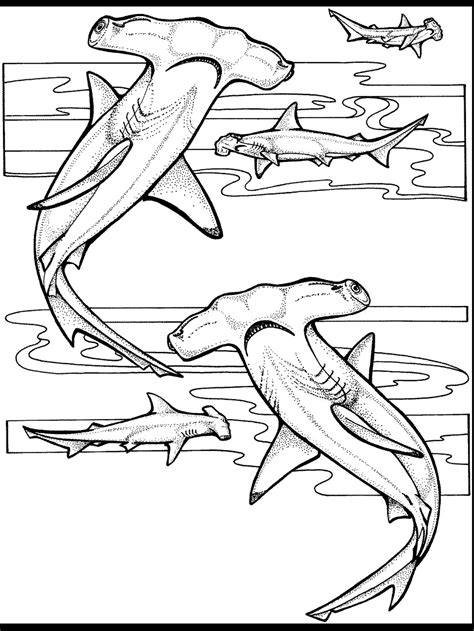 Welcome to the page where you'll find a wide variety of sea animals coloring sheets. Realistic Ocean Coloring Pages at GetColorings.com | Free ...