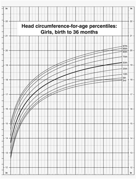 15 Images Average Fetal Head Circumference Chart Chart Gallery A