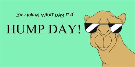 Happy Hump Day Meme Hump Day Quotes Wednesday Hump Day Hump Day Humor Happy Wednesday Quotes