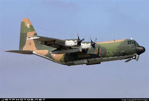 16804 Lockheed C 130h Hercules Portugal Air Force Pedro Aragão