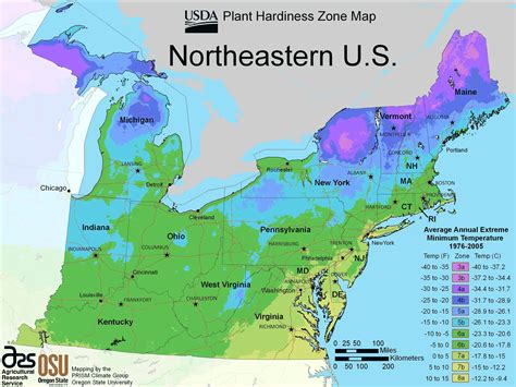 North East Us Plant Hardiness Zone Map