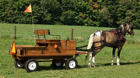 Horse Wagons Trail Wagons Weaver Wagons