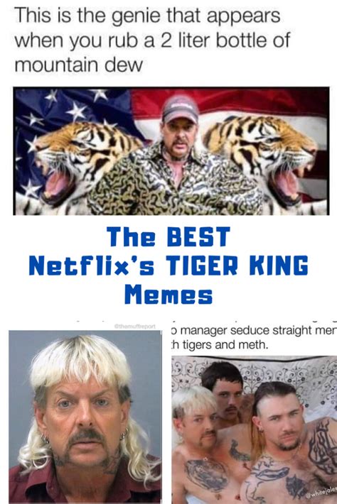 The BEST Netflixs Tiger King Memes LaptrinhX News