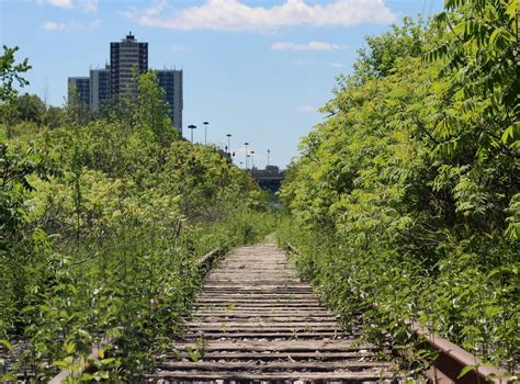 Torontos Ravines This Underground Forest Playground Has Been