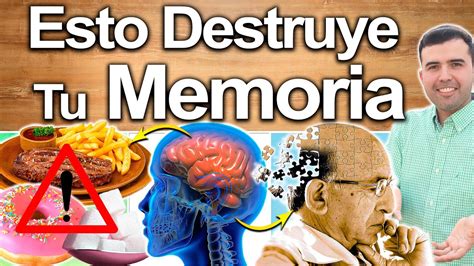 Estos Alimentos Destruyen Tu Memoria Cómo Revertir O Recuperar La