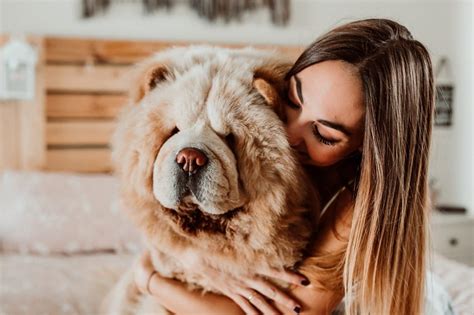 10 señales de que tratas a tu perro como a un hijo cuidado ¡tiene terribles consecuencias