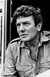 Albert Finney, 82, ‘Angry Young Man’ Who Became a Hollywood Star, Is ...