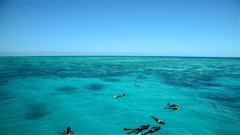 Snorkeling Di Great Barrier Reef Australia The Spiffy Traveler