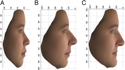 Pc2 Profile Average Faces Using The Original Variables For 14 East