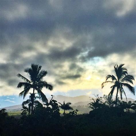 5 Ways To Go Off The Beaten Path In Maui Maui Travel Hawaii Travel Maui
