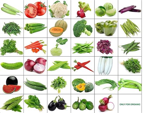 Mix Vegetable Seeds 35 Varieties Of Seeds With Instruction Etsy