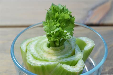 How To Grow Celery From The Base