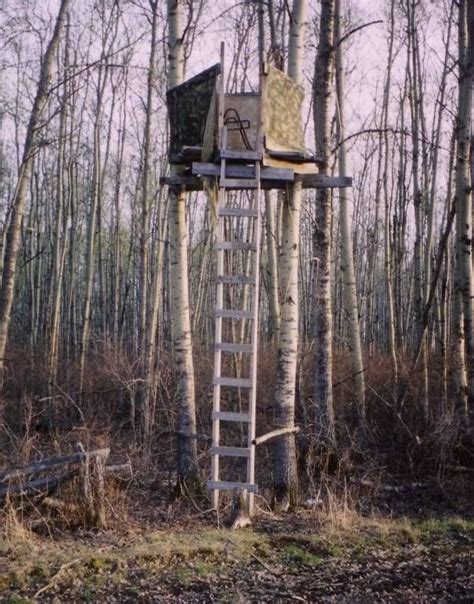 Image Result For Diy Deer Stand Deer Stand Hunting Stands Tree