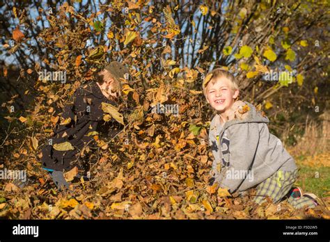 Two Children Boys Playing Throwing Autumn Leaves From Pile In The