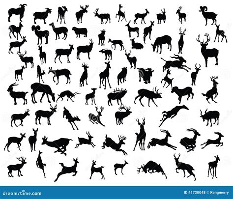 Deers Collection Silhouettes Vector Stock Vector Illustration Of