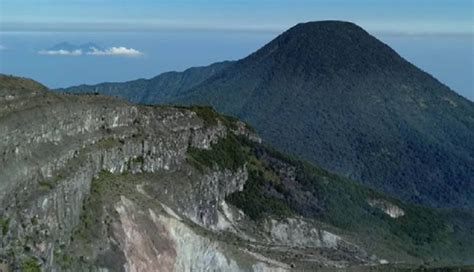 Ini 7 Fakta Menarik Gunung Gede Pangrango Lembah Mandalawangi Jadi