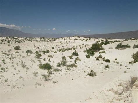 Desierto Blanco Fotografía De Cuatro Cienegas Reserve Norte De México