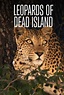دانلود مستند Leopards of Dead Tree Island 2010
