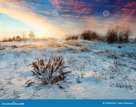 Meadow In Winter Morning Royalty Free Stock Photos Image 33360148