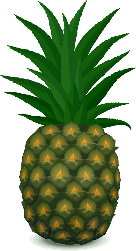 Clipart Pineapple Pdf Clipart Pineapple Pdf Transparent Free For
