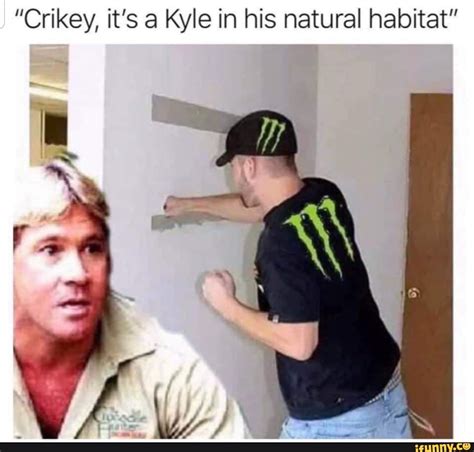 Crikey Its A Kyle In His Natural Habitat Ifunny