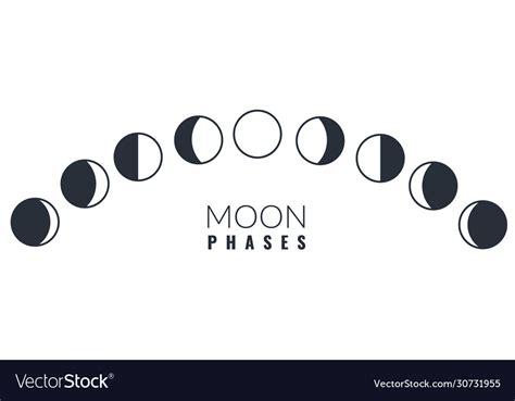 Moon Phases Different Phases Royalty Free Vector Image