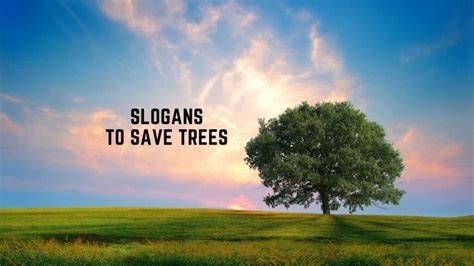 80 Unique Slogans To Save Trees And Forest List Bark