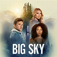 Big Sky ABC Promos - Television Promos