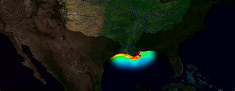 Price Of Shrimp Impacted By Gulf Of Mexico “dead Zone” Gulf Hypoxia