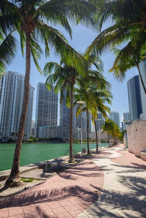 Where To Stay In Miami Neighborhoods And Area Guide Miami Beach Florida