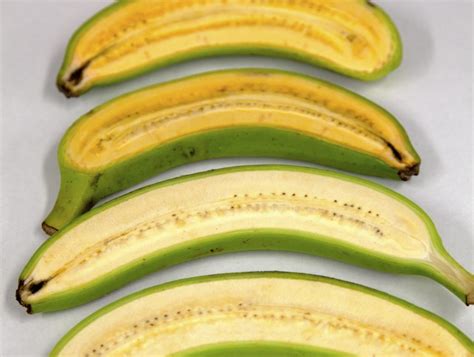 Researchers Have Created Golden Banana That Could Save Lives In Africa