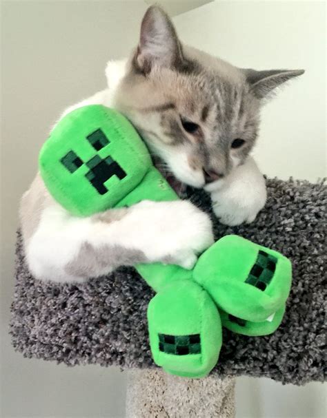 Cute Cat Minecraft Skin