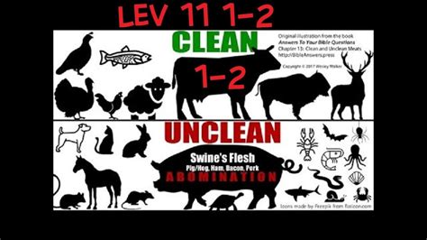 Leviticus 11 Clean And Unclean Animals What To Eat Or Not To Eat 1 2