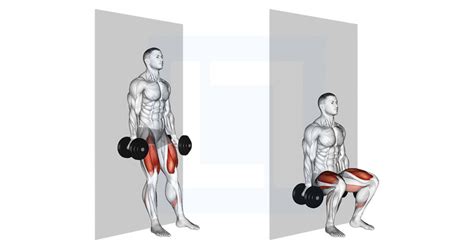 Dumbbell Wall Squat Guide Benefits And Form