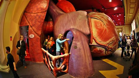 20 Best Science Museums For Kids In The Us Mommy Nearest