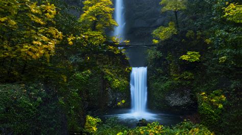Wallpapers Hd Waterfall Forest