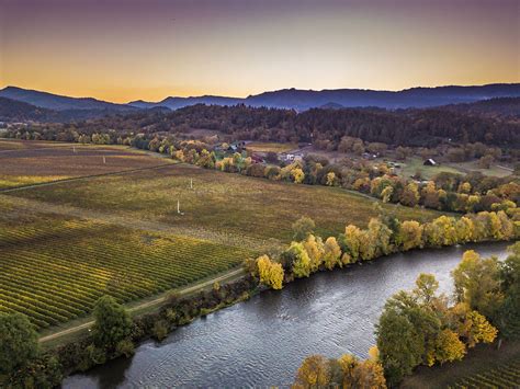 Melrose Vineyards Oregon Wine Umpqua Valley