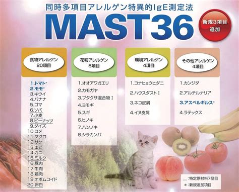 MAST36 | CLINIC FOR （クリニックフォア） 内科・アレルギー科・皮膚科