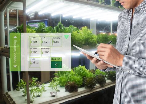 Vertical Farming Agxio Applied Ai And Machine Learning