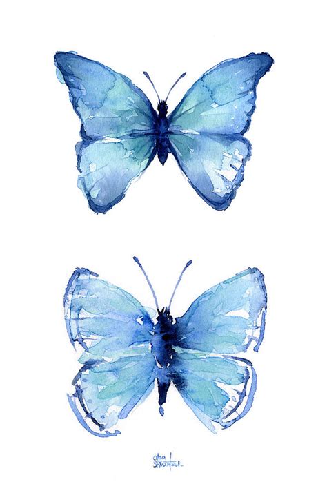 Two Blue Butterflies Watercolor Painting By Olga Shvartsur